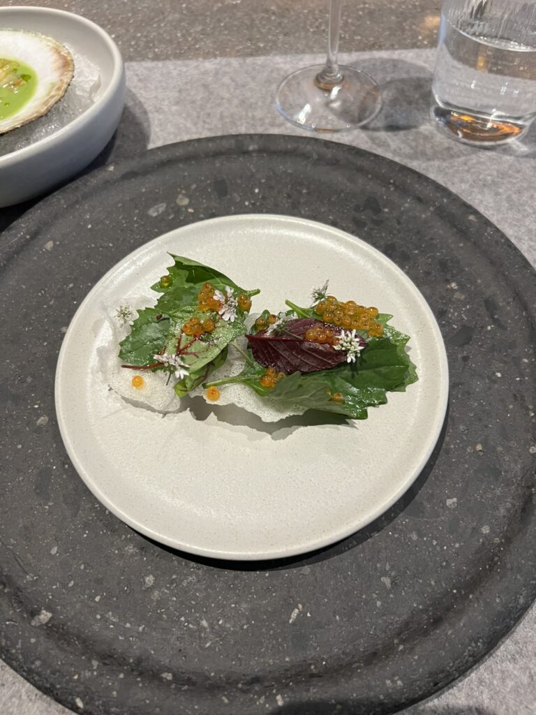 Course 1